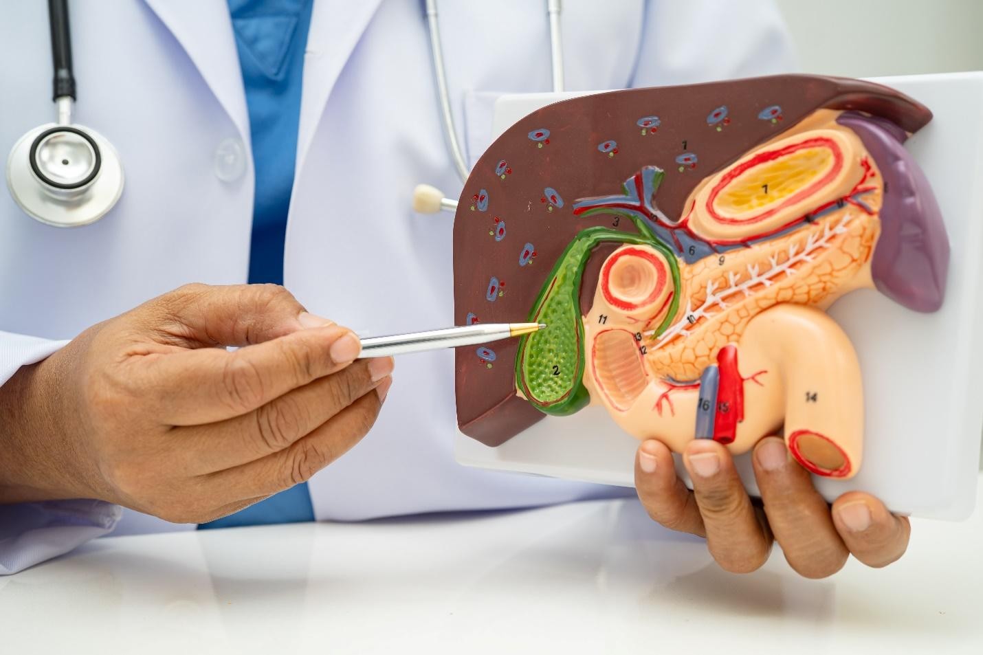 gallstone treatment and gallbladder surgery in Singapore